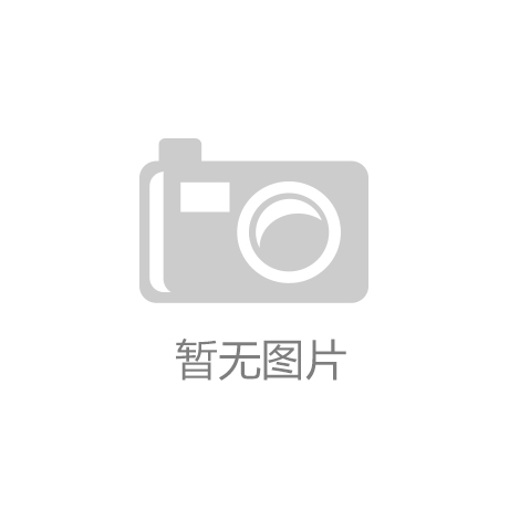 中国造型刷市场规模预测及全景调研报告九游