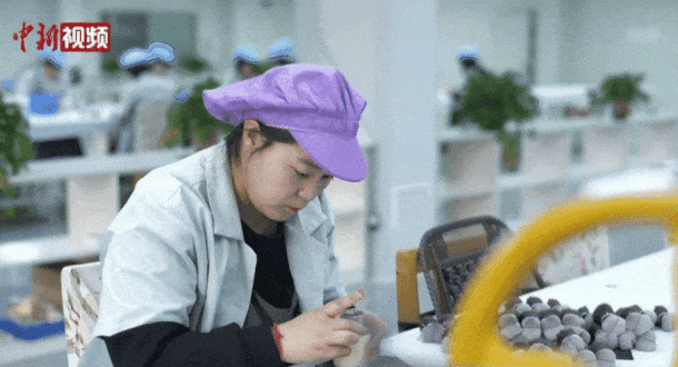 牌沧州真有“两把刷子”！j9九游真人游戏第一品(图3)