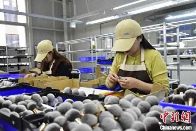牌沧州真有“两把刷子”！j9九游真人游戏第一品(图2)