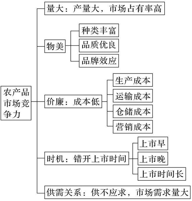 二轮微专题22 市场竞争力J9九游会2025高考地理(图9)