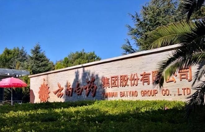 来、佳洁士、高露洁市场份额达到23%九游会J9中国牙膏第一品牌：击败好(图13)